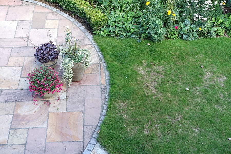 Revitalize Your Yard with Lawn Renovation and Repair