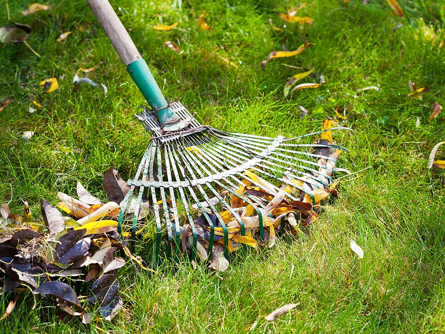 Winter Lawn Care Tips: How to Prepare Your Yard for the Cold Months